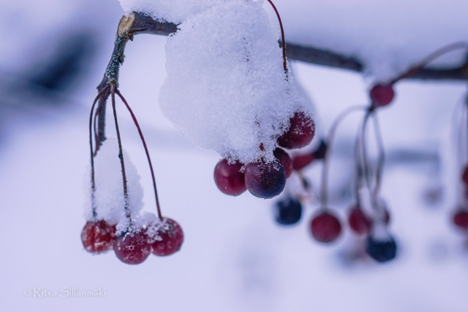 RS 281214 (97 of 147)