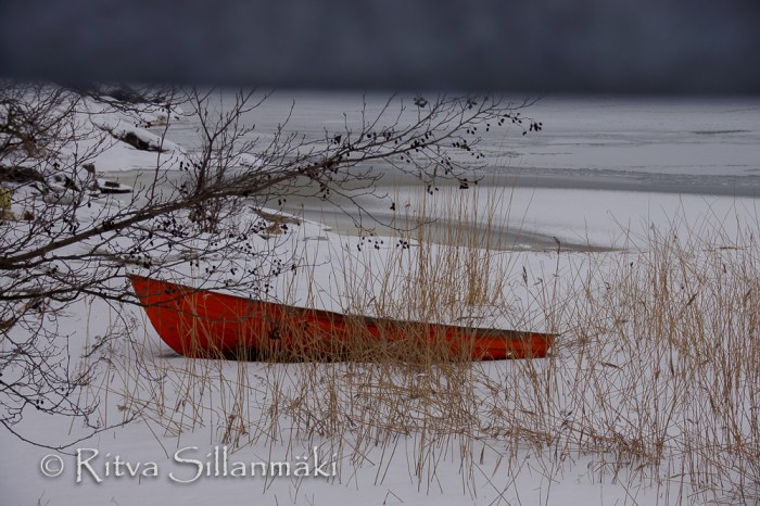 Orange rowing boat
