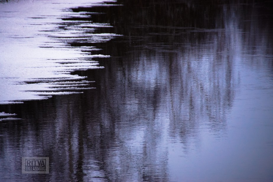 Ritva's Photos (124 of 232)