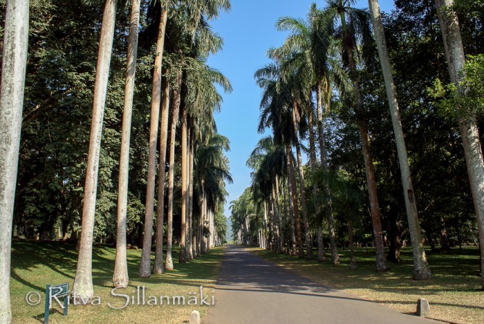 untitled (6 of 10)-2