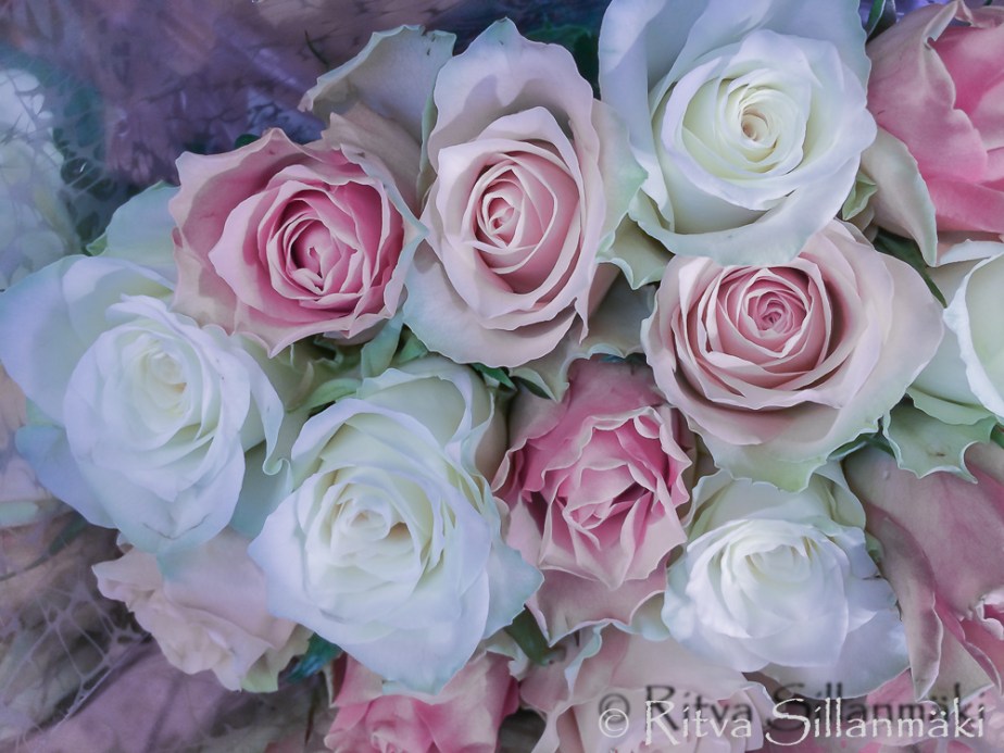 Happy Valentines day