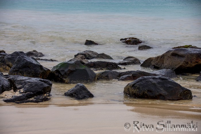 Ritva Sillanmäki - nature-6