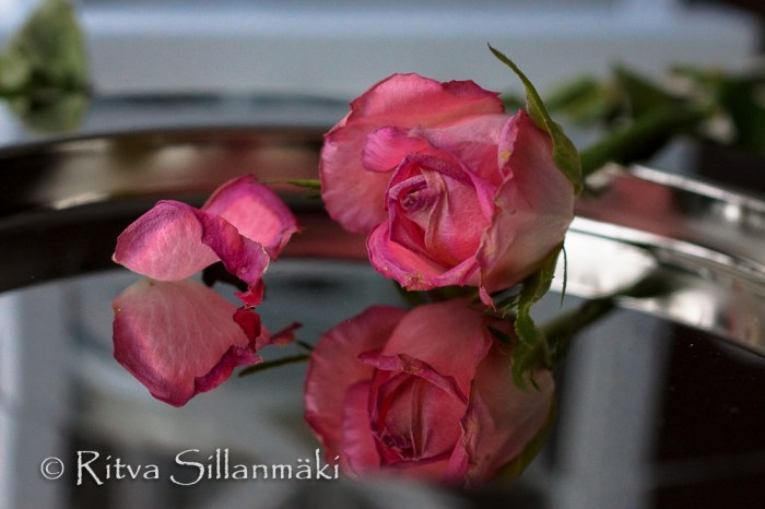 Ritva Sillanmäki -textures (14 of 62)