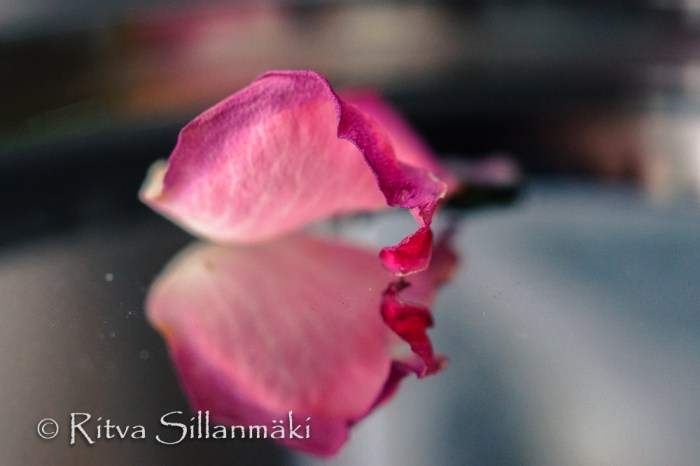 Ritva Sillanmäki -textures (20 of 62)