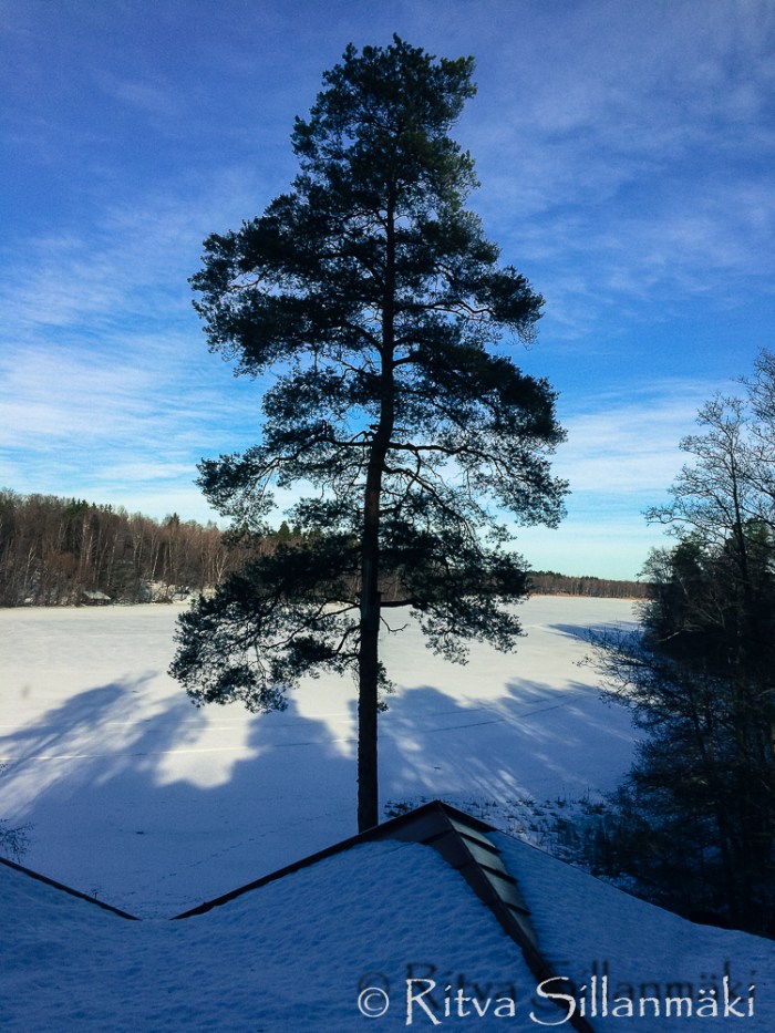 tasty lunch (1 of 12)