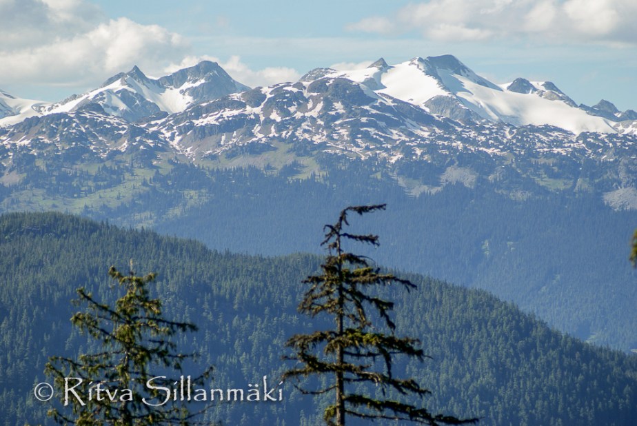 untitled (6 of 10)-2