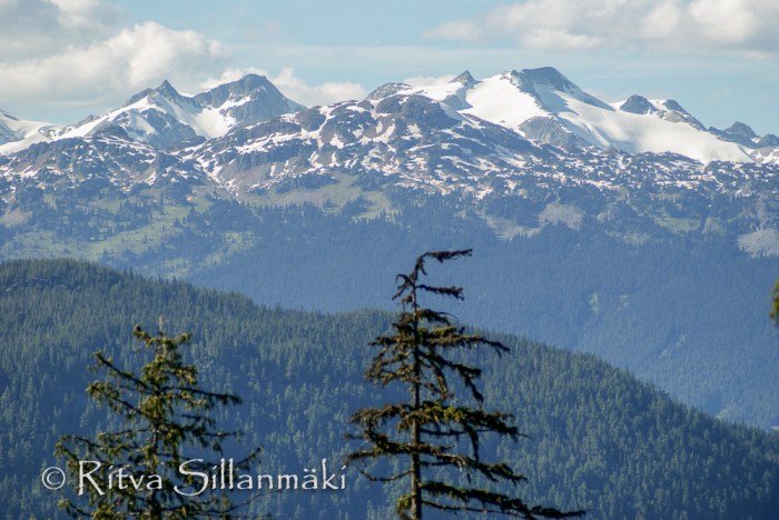 untitled (6 of 10)-2