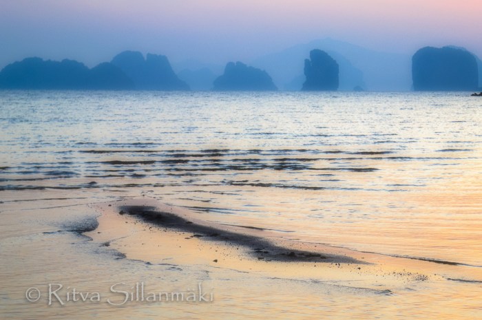 softness of morning (8 of 10)