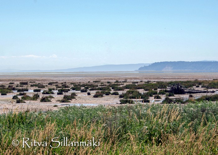 untitled (9 of 10)-2