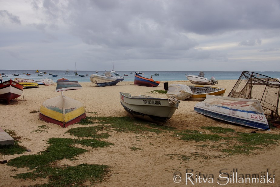 Ritva Sillanmäki - nature-2-2