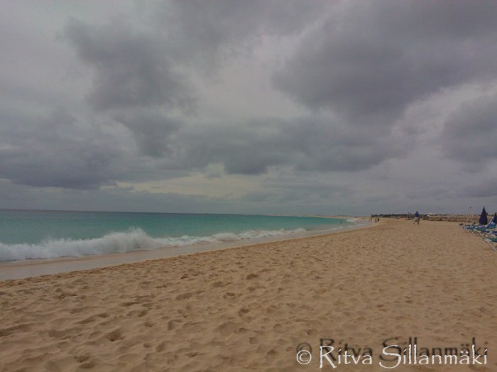 Ritva Sillanmäki - nature-8