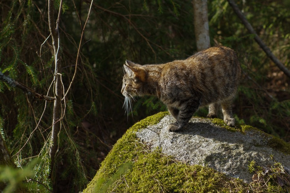 April 2015_ Ritva Sillanmäki (8 of 63)