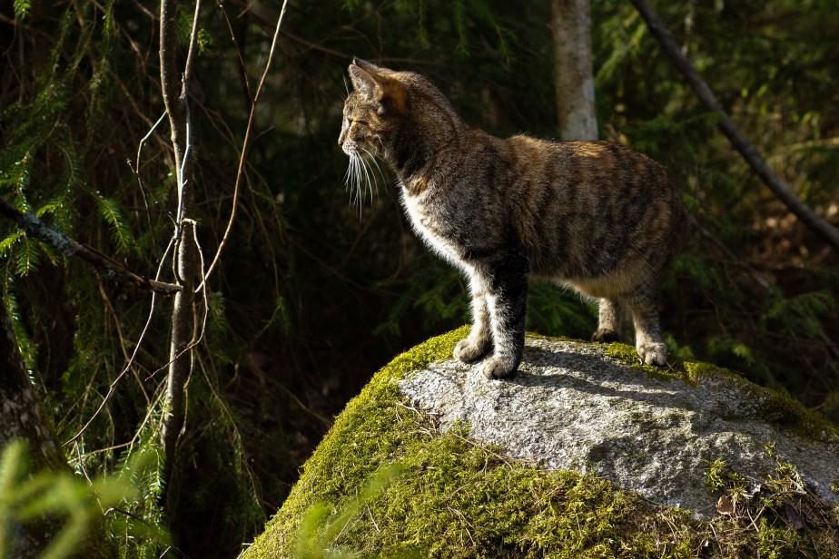 April 2015_ Ritva Sillanmäki (9 of 63)