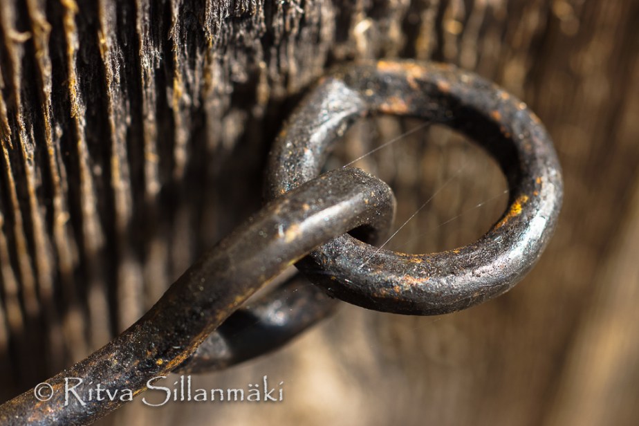 Ritva Sillanmäki (32 of 33)