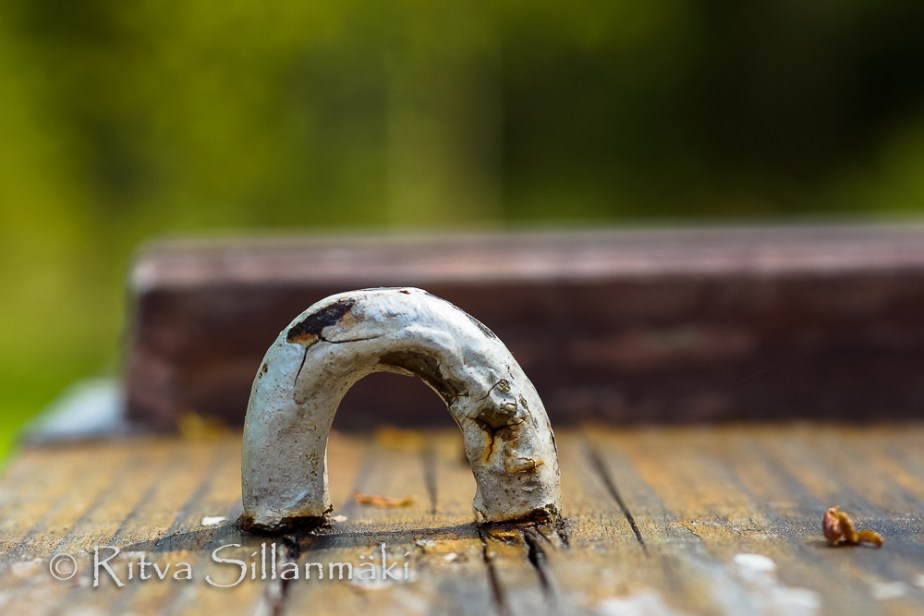 Ritva Sillanmäki (33 of 33)