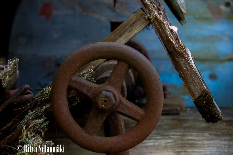 Ritva Sillanmäki 5-1-2015 (15 of 69)