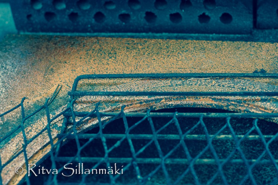 Ritva Sillanmäki - spring 2015 (101 of 102)