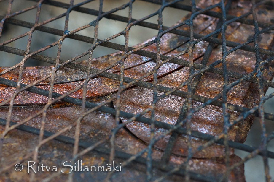 Ritva Sillanmäki - spring 2015 (99 of 102)