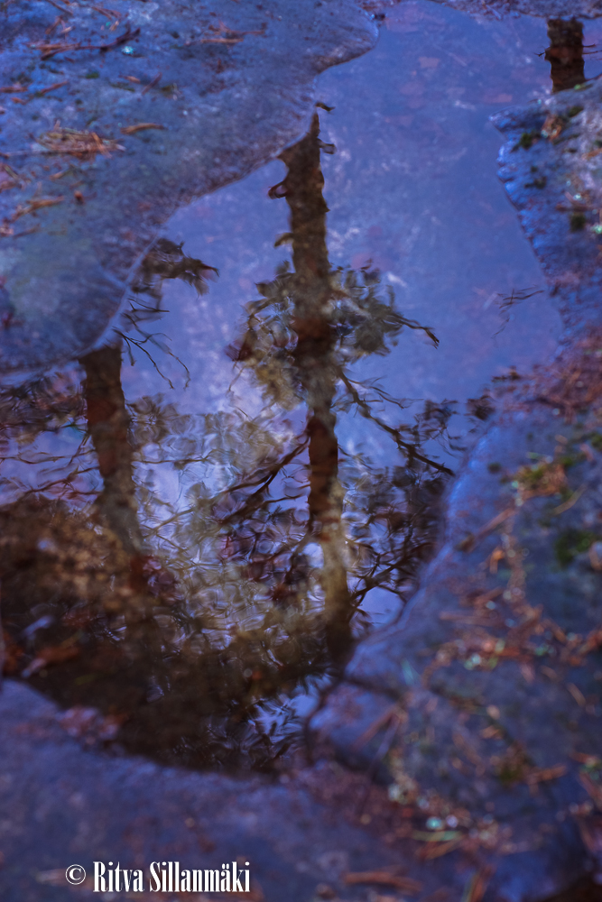 Ritva Sillanmäki_droplets (68 of 80)