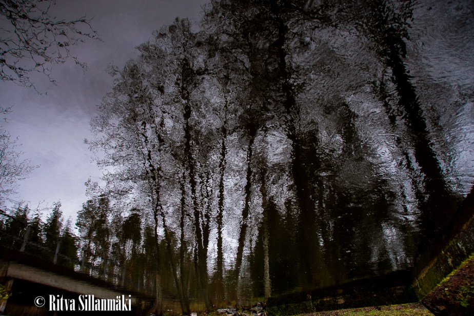 Ritva Sillanmäki_Kumianmylly (6 of 92)