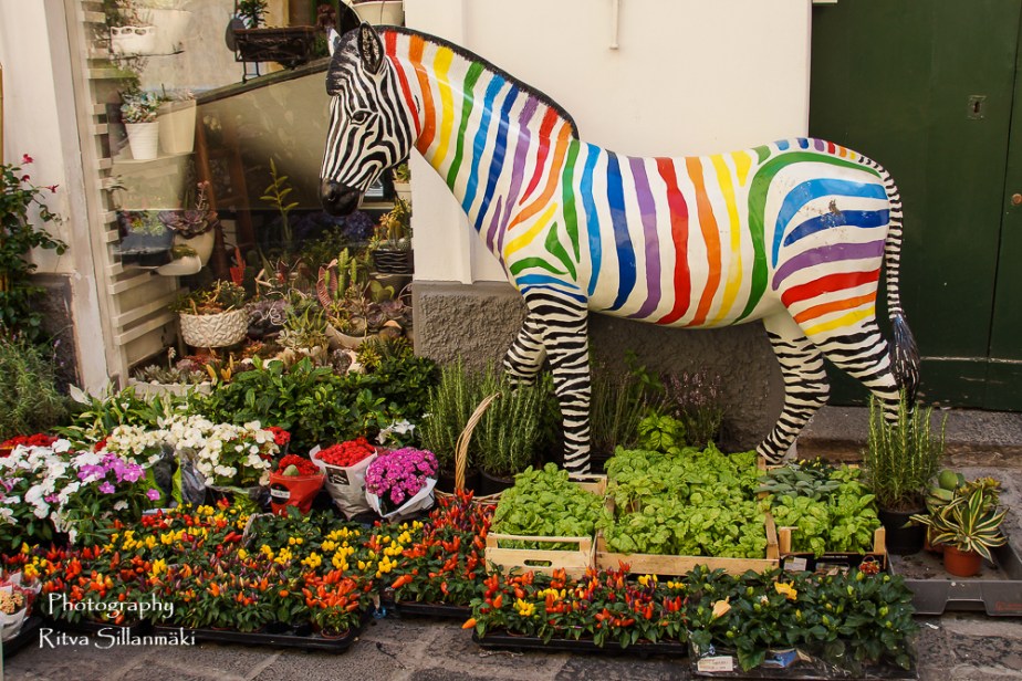 Capri -RS 6-2015 (106 of 396)