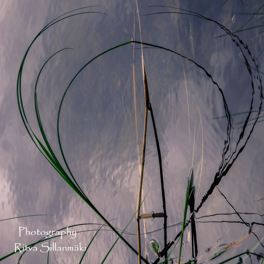 Korkee Immilän mylly, Heinola (71 of 93)