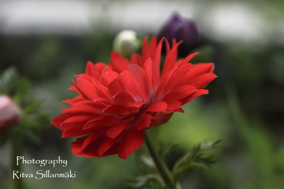 aug 14th (103 of 148)