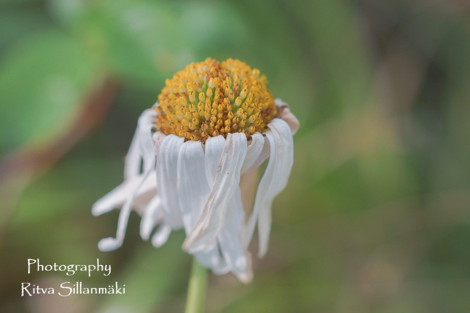 aug 14th (114 of 148)