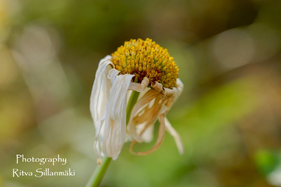 aug 14th (115 of 148)