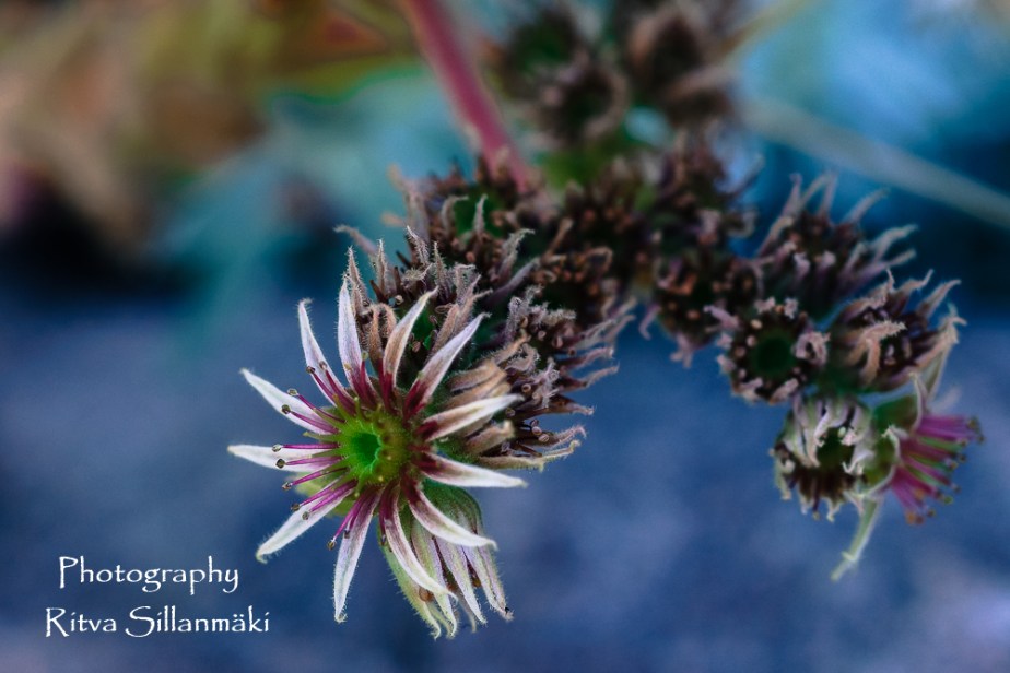 aug 14th (40 of 148)