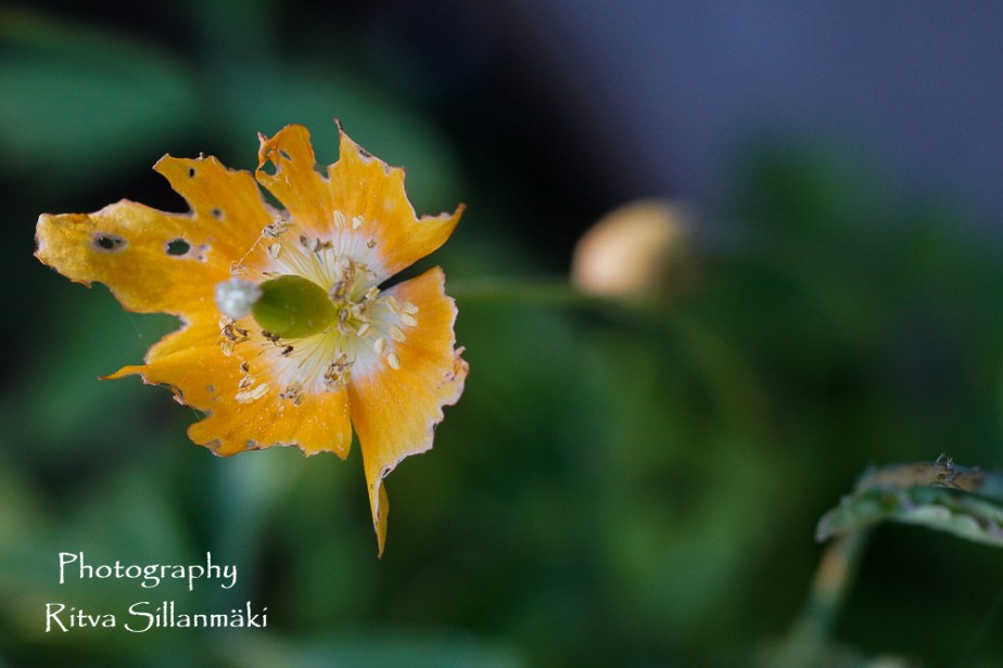 aug 14th (61 of 148)