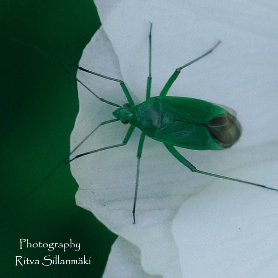 August 16th (10 of 21)