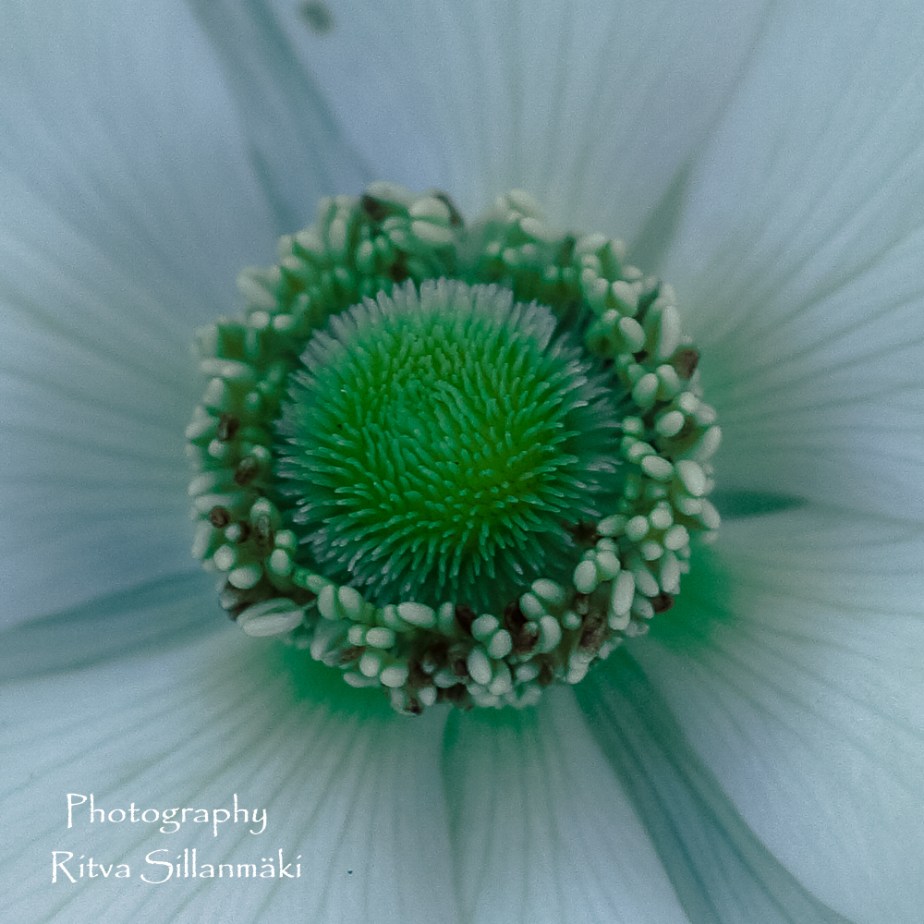 August 16th (11 of 21)