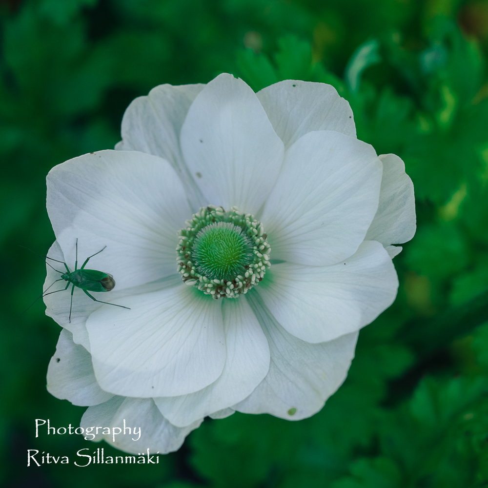 August 16th (9 of 21)