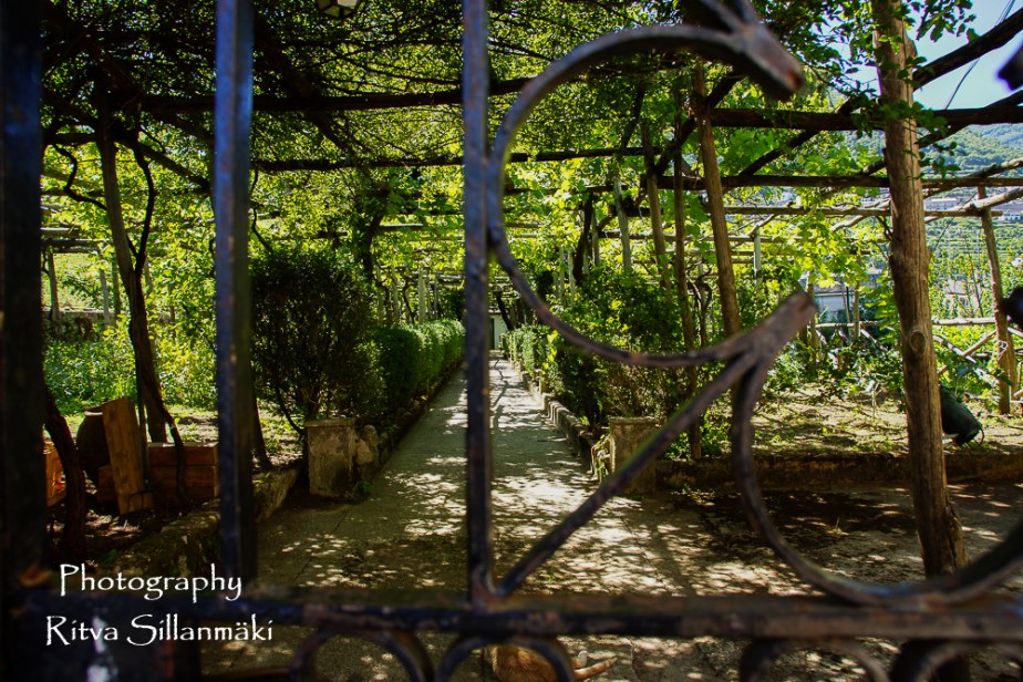 Ravello  (195 of 353)