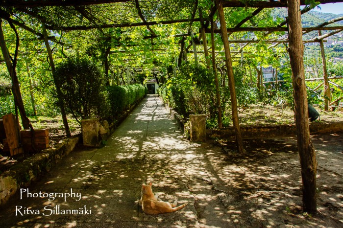 Ravello  (197 of 353)