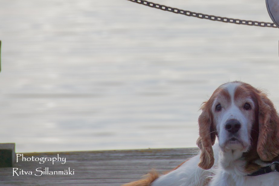 Autumn 2015 (32 of 233)