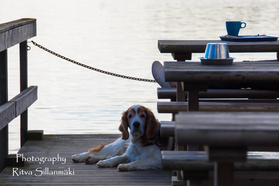 Autumn 2015 (33 of 233)