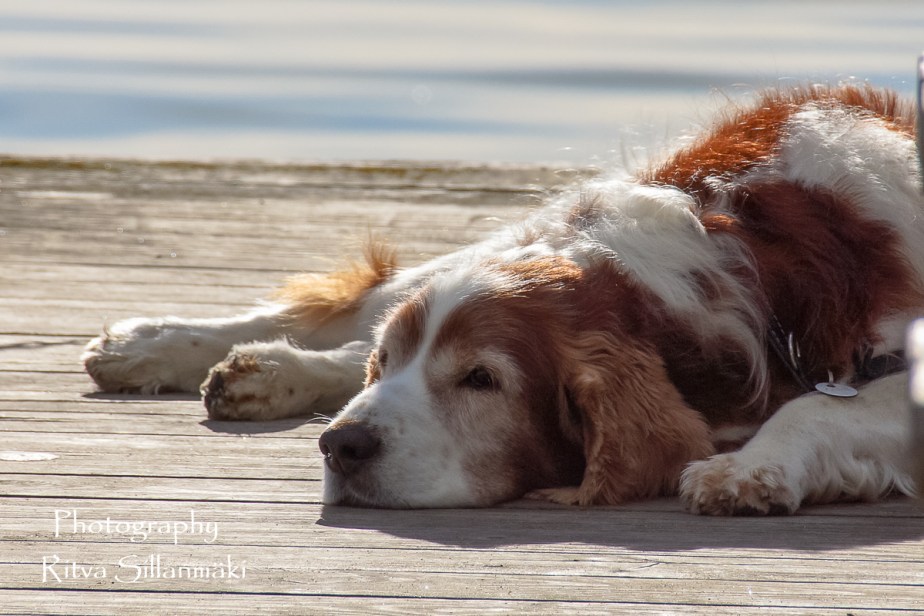 Autumn 2015 (42 of 233)