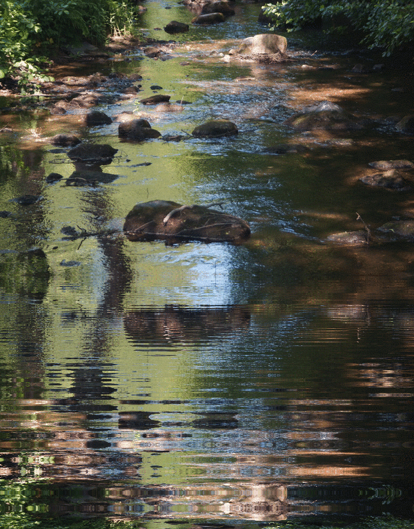 imageedit_3_4387203998