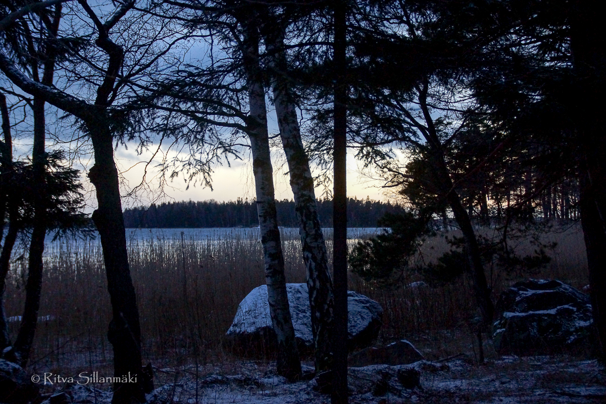 Ritva Sillanmäki-211214 (29 of 31)