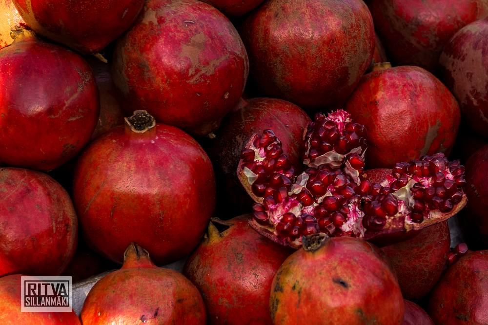 Maposa , Goa (47)-1-2