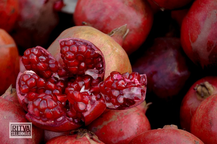 Maposa , Goa (49)-2-2