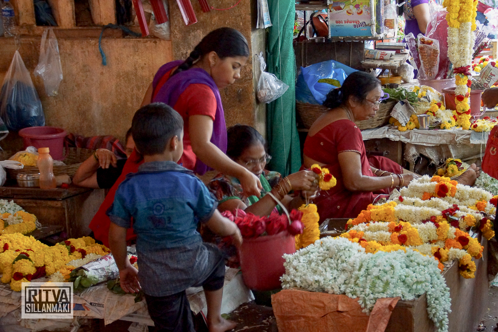 Maposa , Goa (57)-48