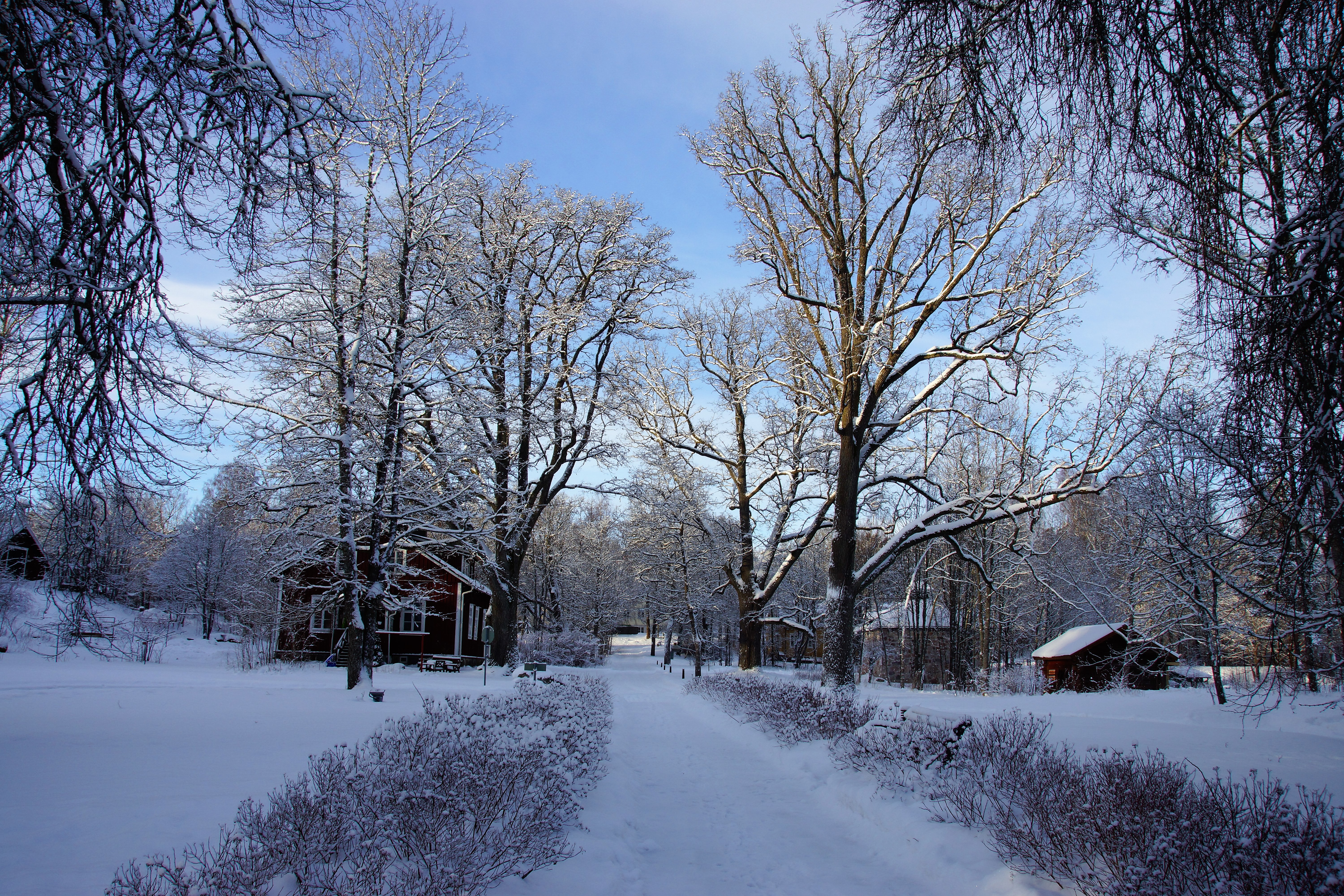 Vols, Kirkkonummi (1)