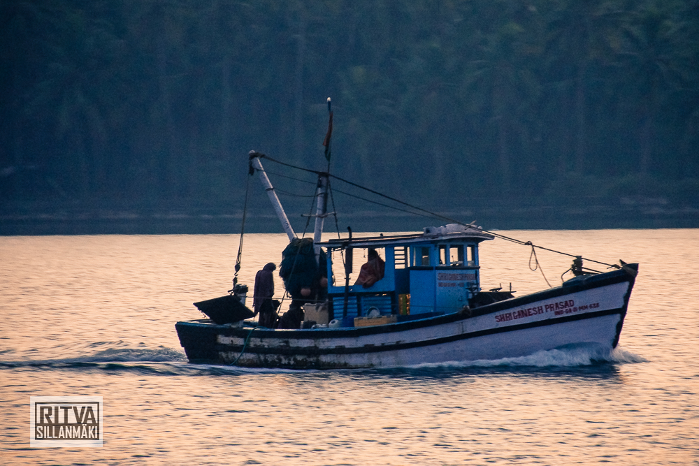 Chapora River (180) – kopio