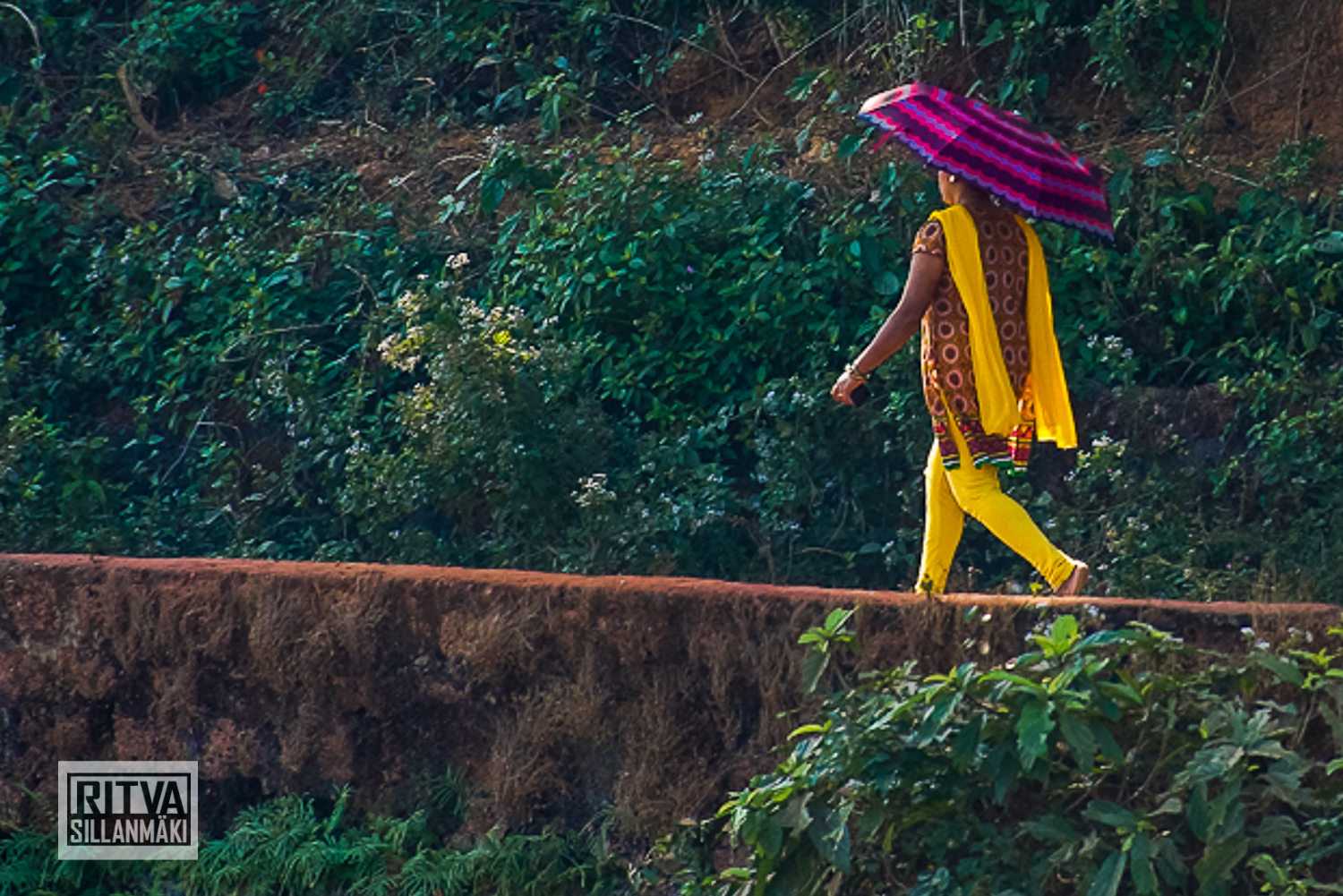 Goa India, Chapora River (20).jpg