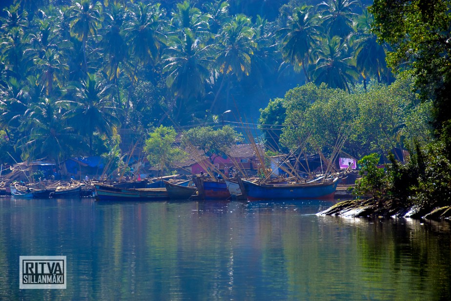 Goa India, Chapora River (29)