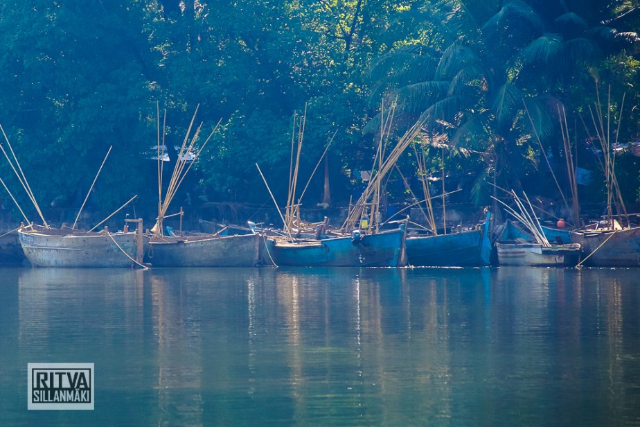 Goa India, Chapora River (32)-2