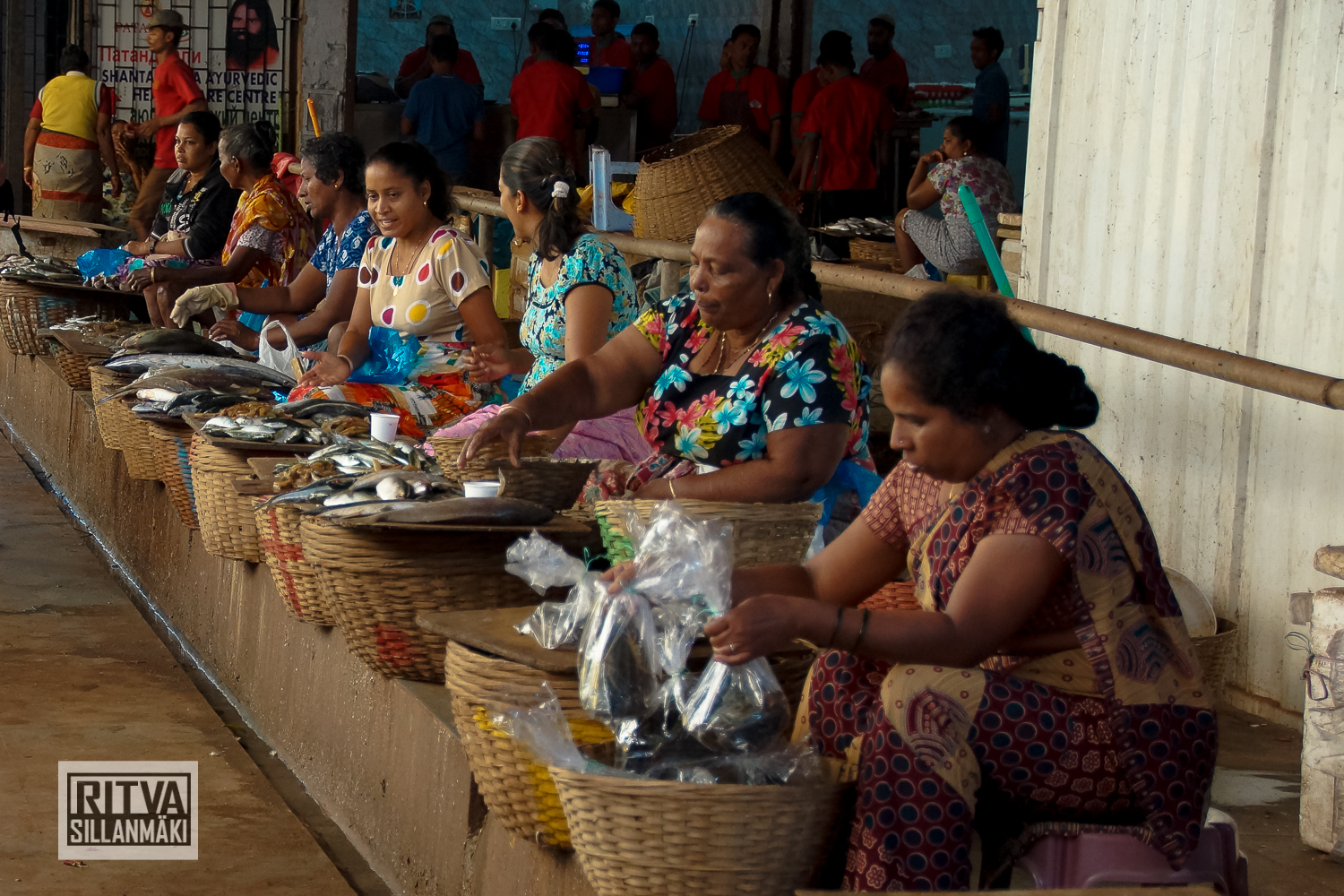 Goa India, Chapora River (534)-2